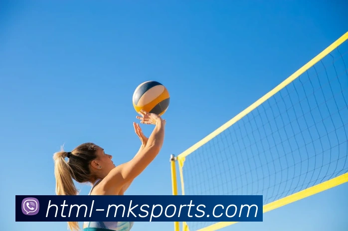 体育下注品牌故事